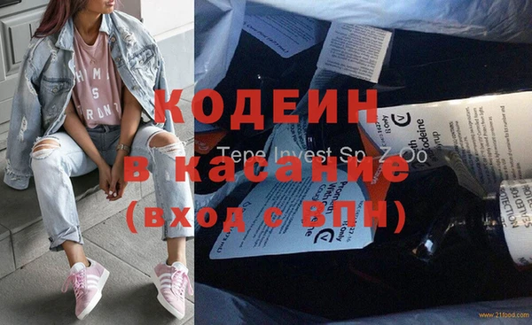 индика Богородицк