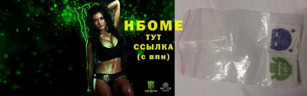 индика Богородицк
