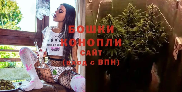 первитин Богданович