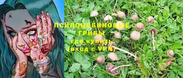 a pvp Белоозёрский